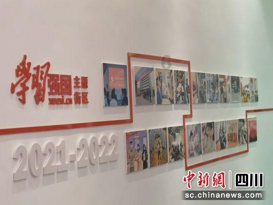 狐尾山公园紫花风铃木盛放 花期持续至下周